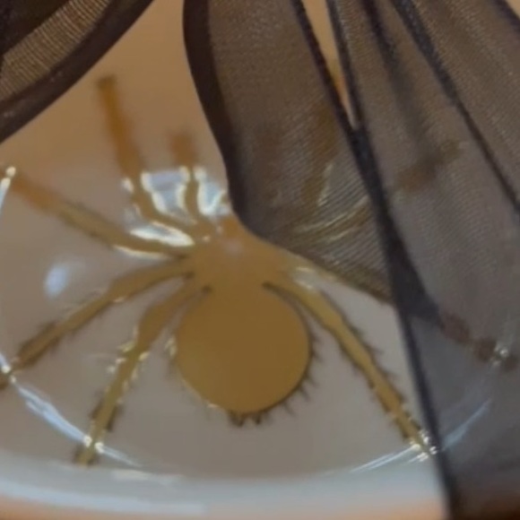 PARK CHATEAU NWOT Spider & Web Teacup And Saucer Set Black And White W/Gold Trim - Picture 10 of 10